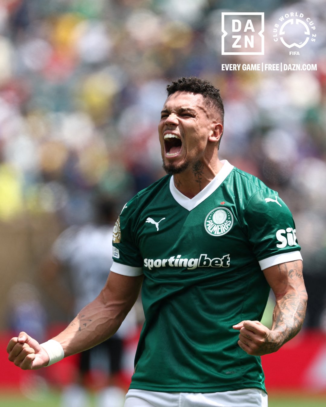 开云体育入口-帕尔梅拉斯小将表现抢眼，劲旅添新力量的简单介绍